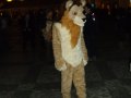 DSCF2735.JPG